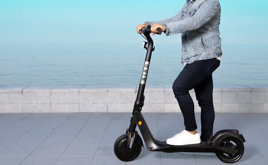 Bird scooter weight limit super helpful guide & review